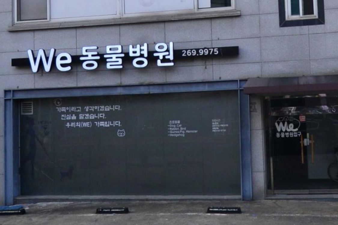 we동물병원 이미지 2