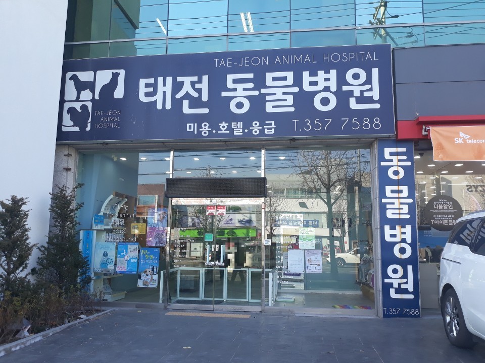 태전동물병원 이미지 1