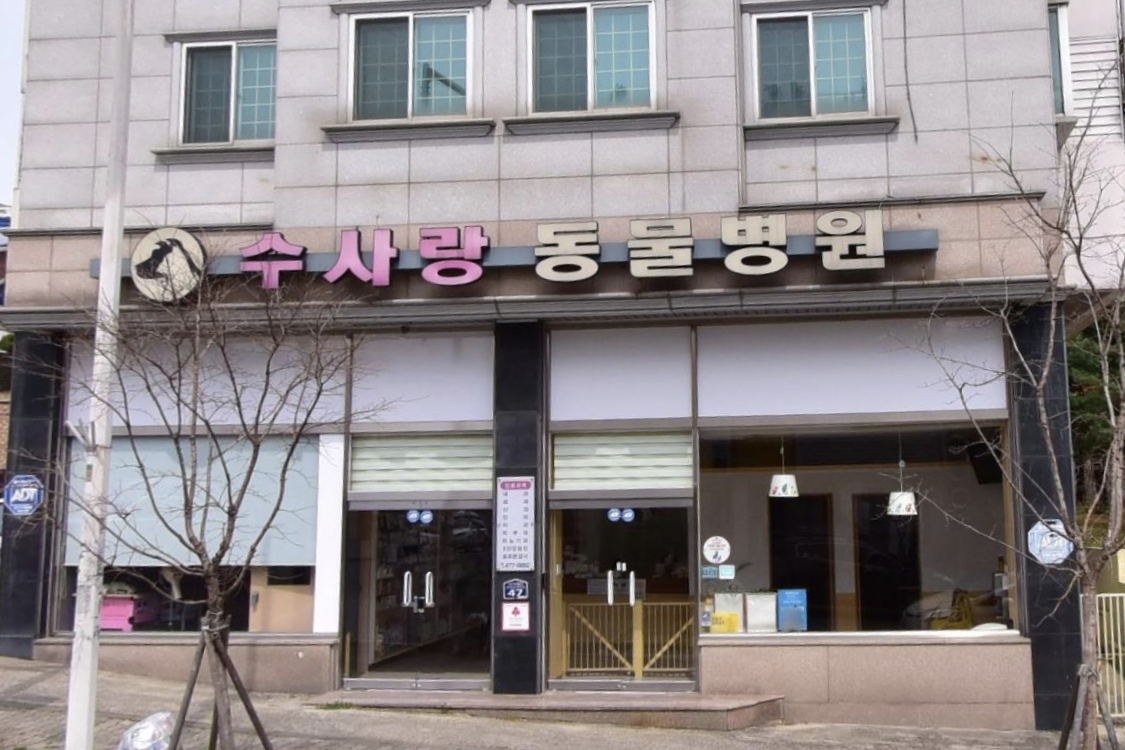 수사랑동물병원 이미지 1