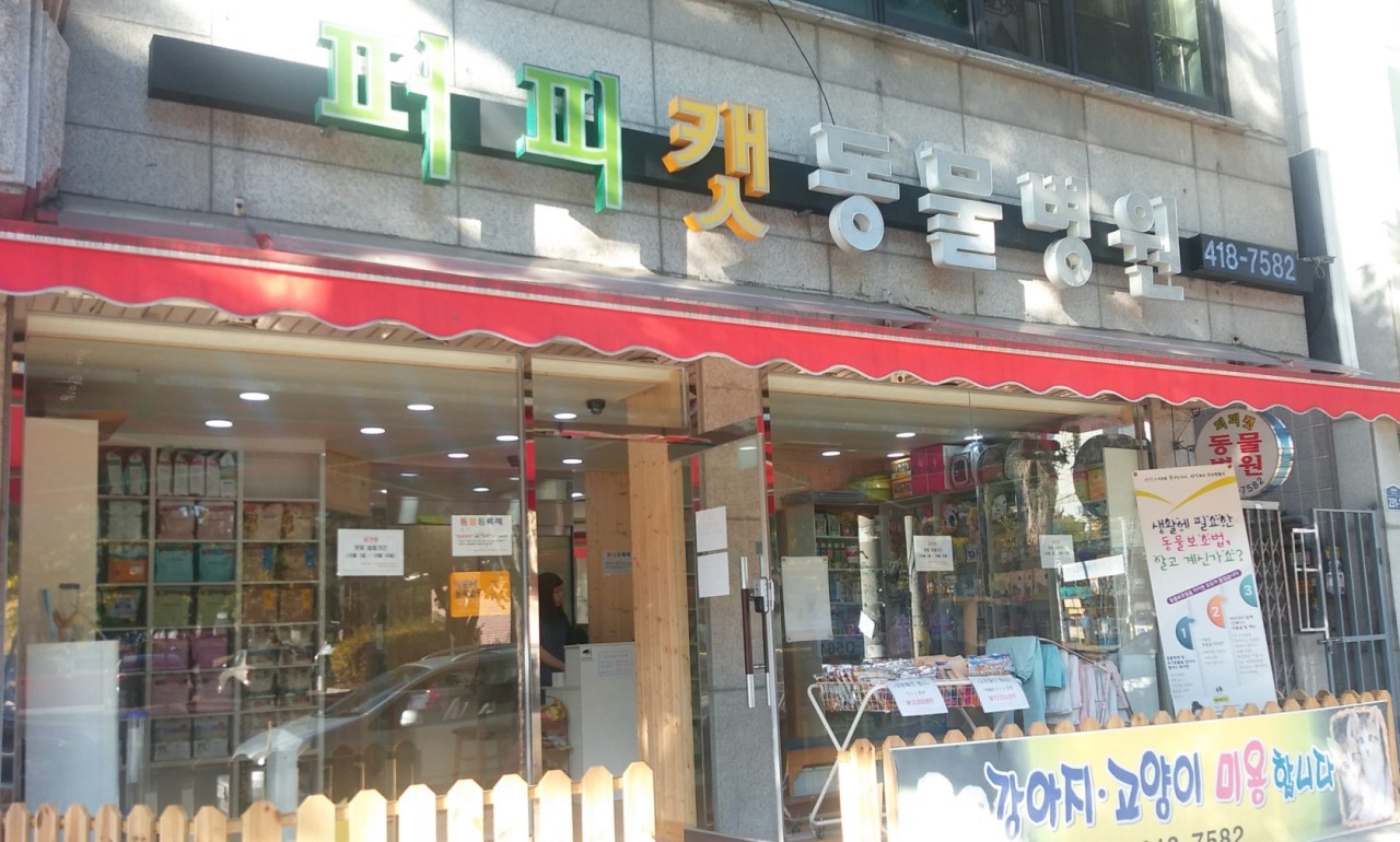 퍼피캣동물병원 이미지 1
