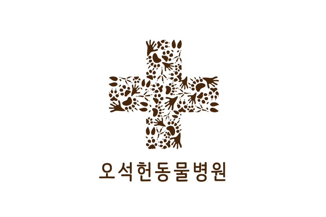 오석헌동물병원 이미지 1