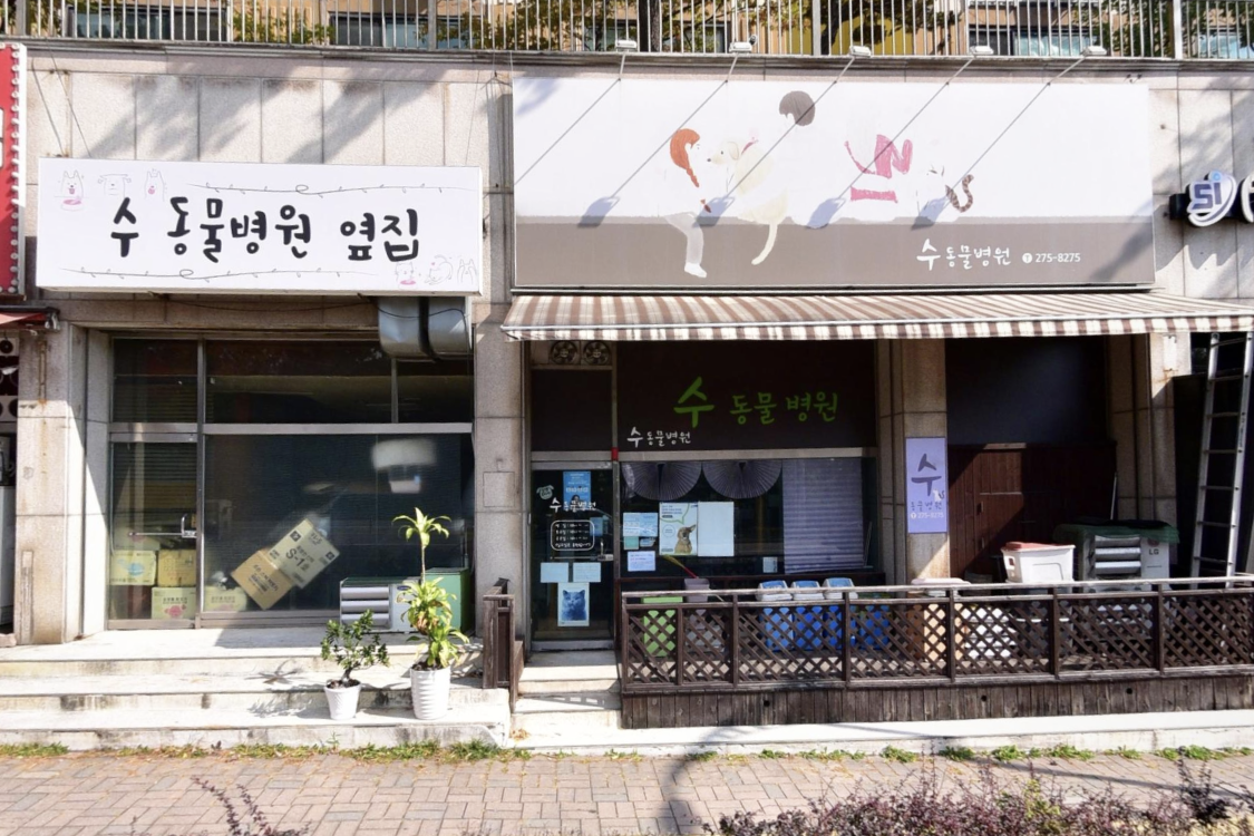 수동물병원 이미지 1