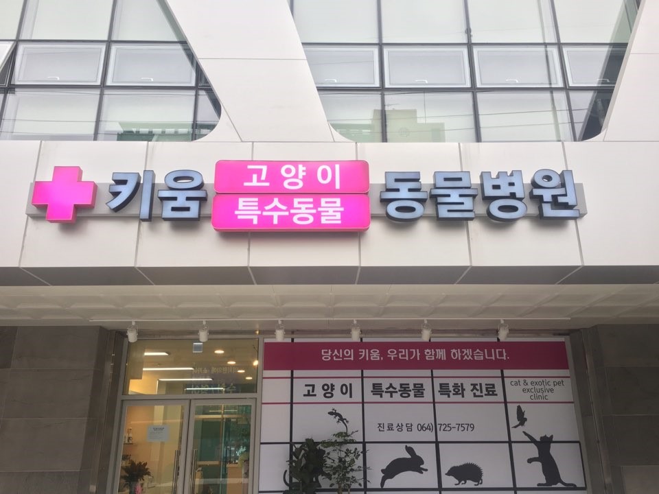 제주키움동물병원 이미지 1
