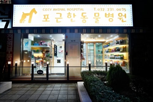 포근한동물병원 이미지 1