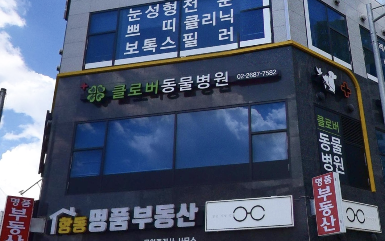 클로버동물병원 이미지 2