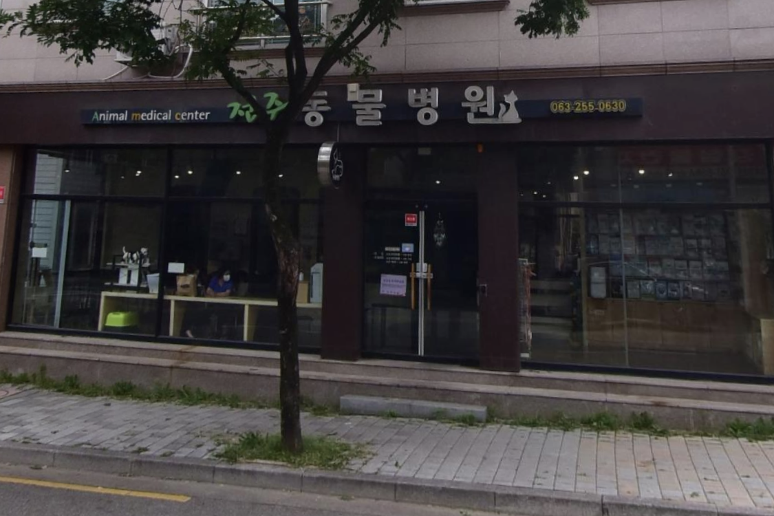 전주동물병원 이미지 1