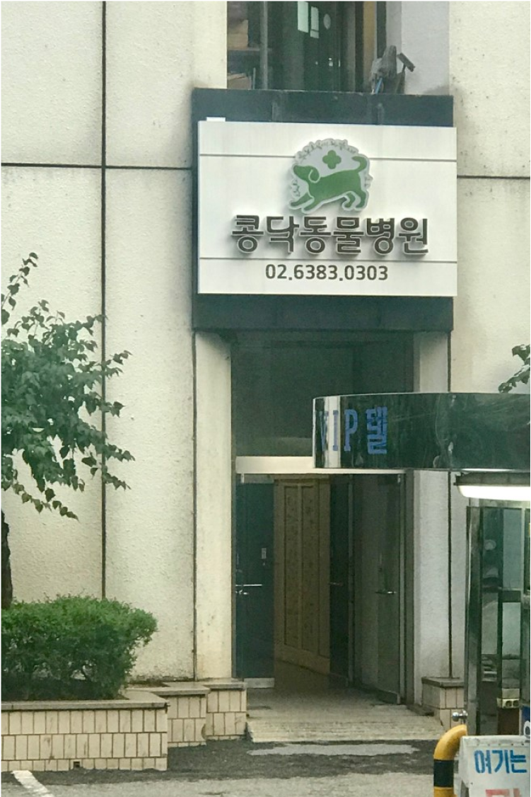콩닥동물의료센터 이미지 1